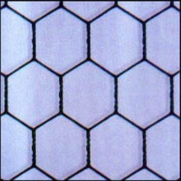 Hexagonal Wire Cloth